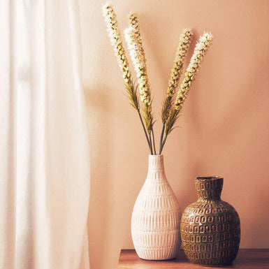 White Blazing Star Flower Stem