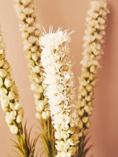 White Blazing Star Flower Stem