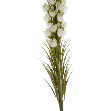 White Blazing Star Flower Stem