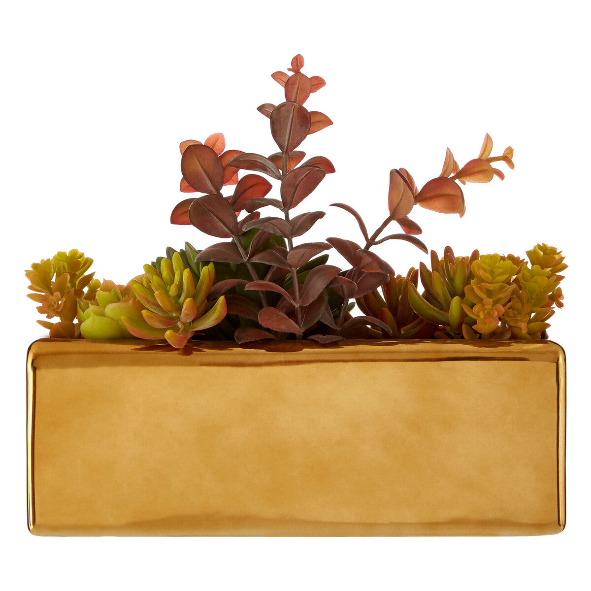 Mixed Succulents with Gold Ceramic Pot