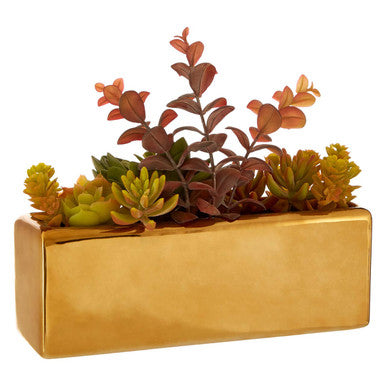 Mixed Succulents with Gold Ceramic Pot