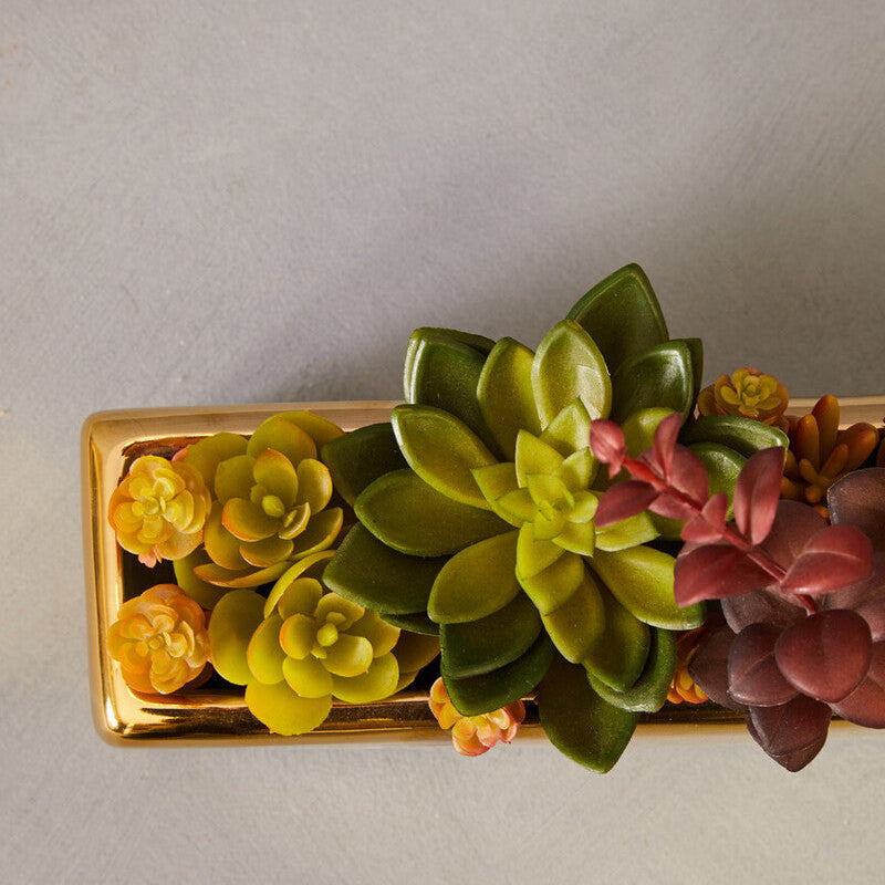 Mixed Succulents with Gold Ceramic Pot