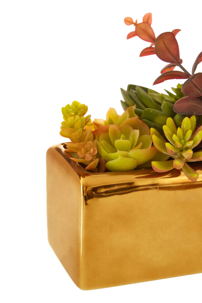 Mixed Succulents with Gold Ceramic Pot