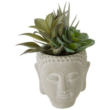 Buddha Pot with Mixed Succulents