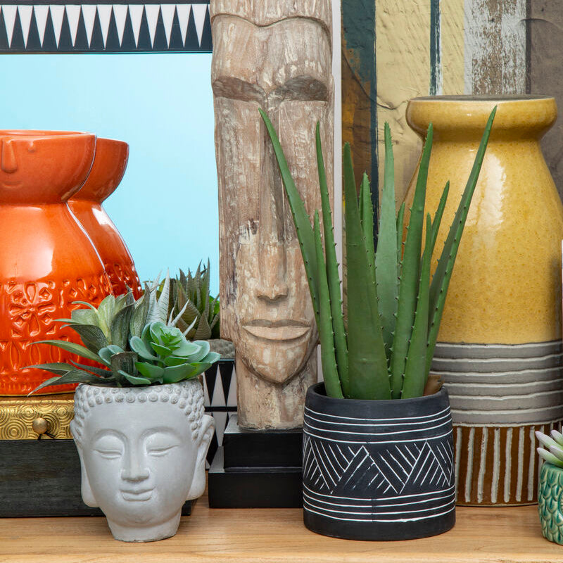 Buddha Pot with Mixed Succulents