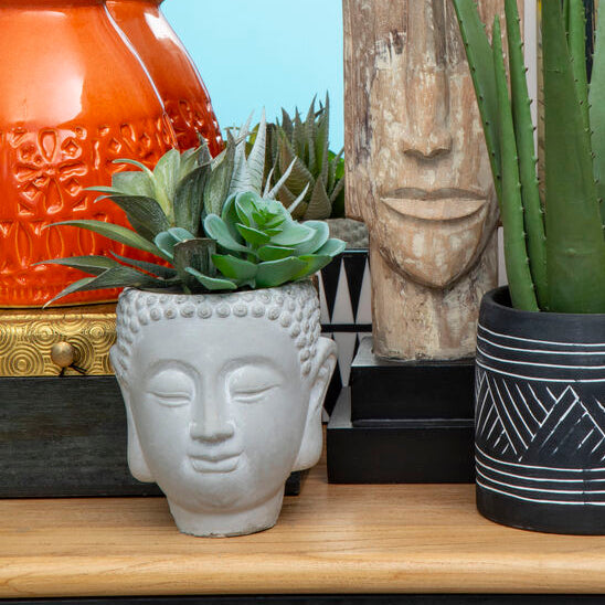 Buddha Pot with Mixed Succulents