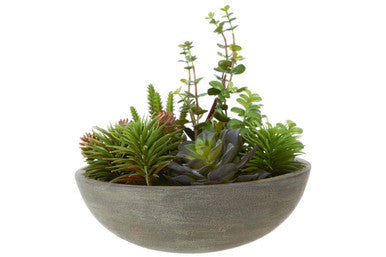 Mixed Succulent in Stone Effect Pot