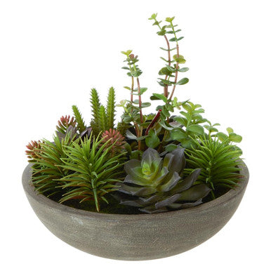 Mixed Succulent in Stone Effect Pot
