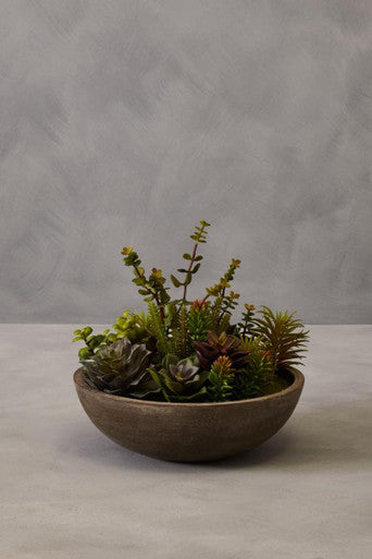 Mixed Succulent in Stone Effect Pot