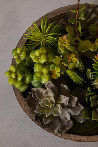 Mixed Succulent in Stone Effect Pot