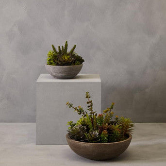 Mixed Succulent in Stone Effect Pot