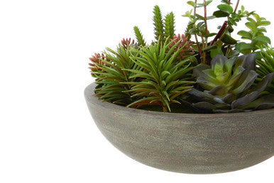 Mixed Succulent in Stone Effect Pot