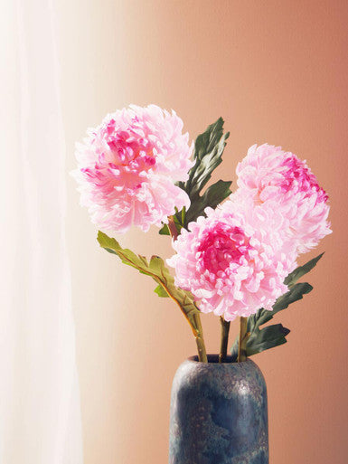 Pink Chrysanthemum Flower Stem