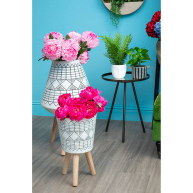 Pink Chrysanthemum Flower Stem