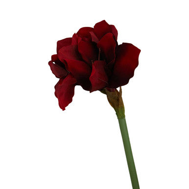 Burgundy Amaryllis Flower Stem 72cm