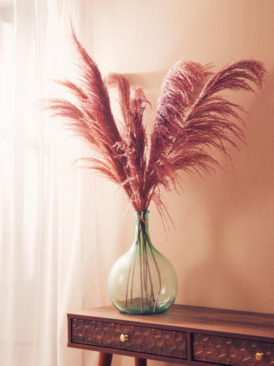 Tall Pink Pampas Grass Stem