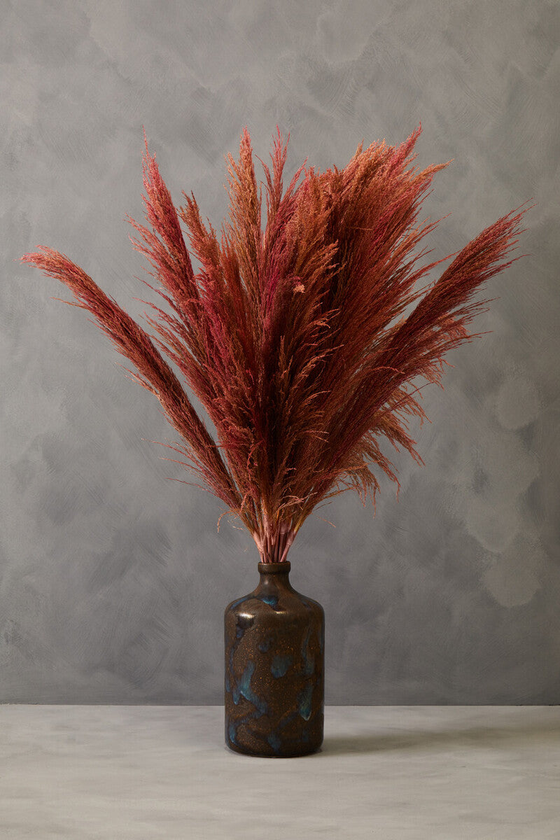 Tall Pink Pampas Grass Stem