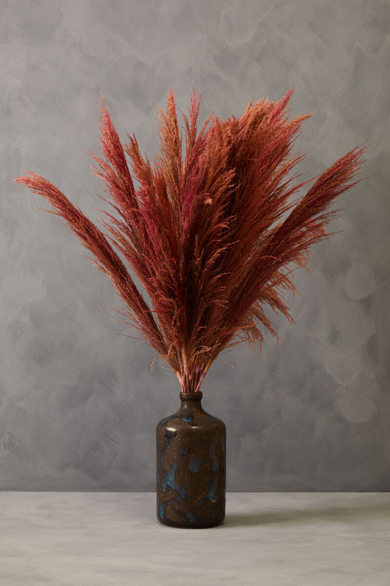 Tall Pink Pampas Grass Stem