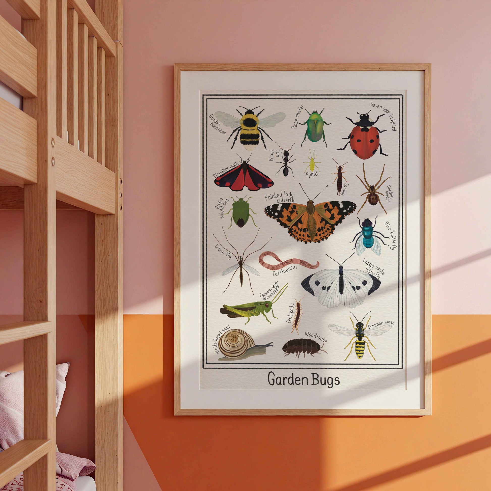 Garden Bug Wall Art Print Educational Nature Illustration