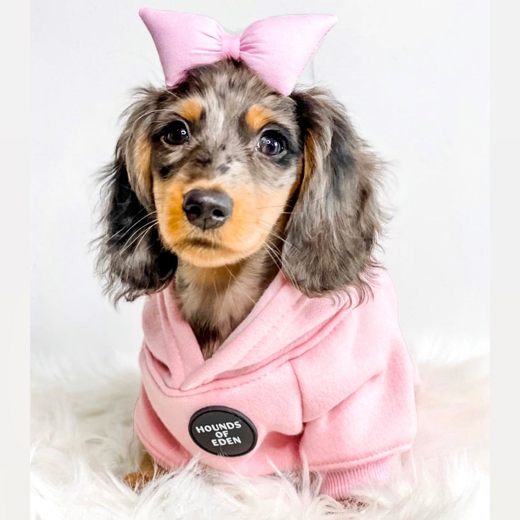 Dog Hoodie - Light Teal