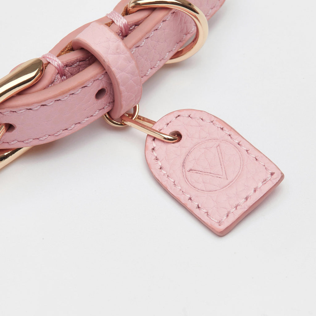 Leather Collar with Gold and Silver Hardware