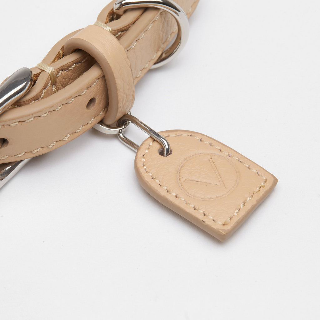 Leather Collar with Gold and Silver Hardware