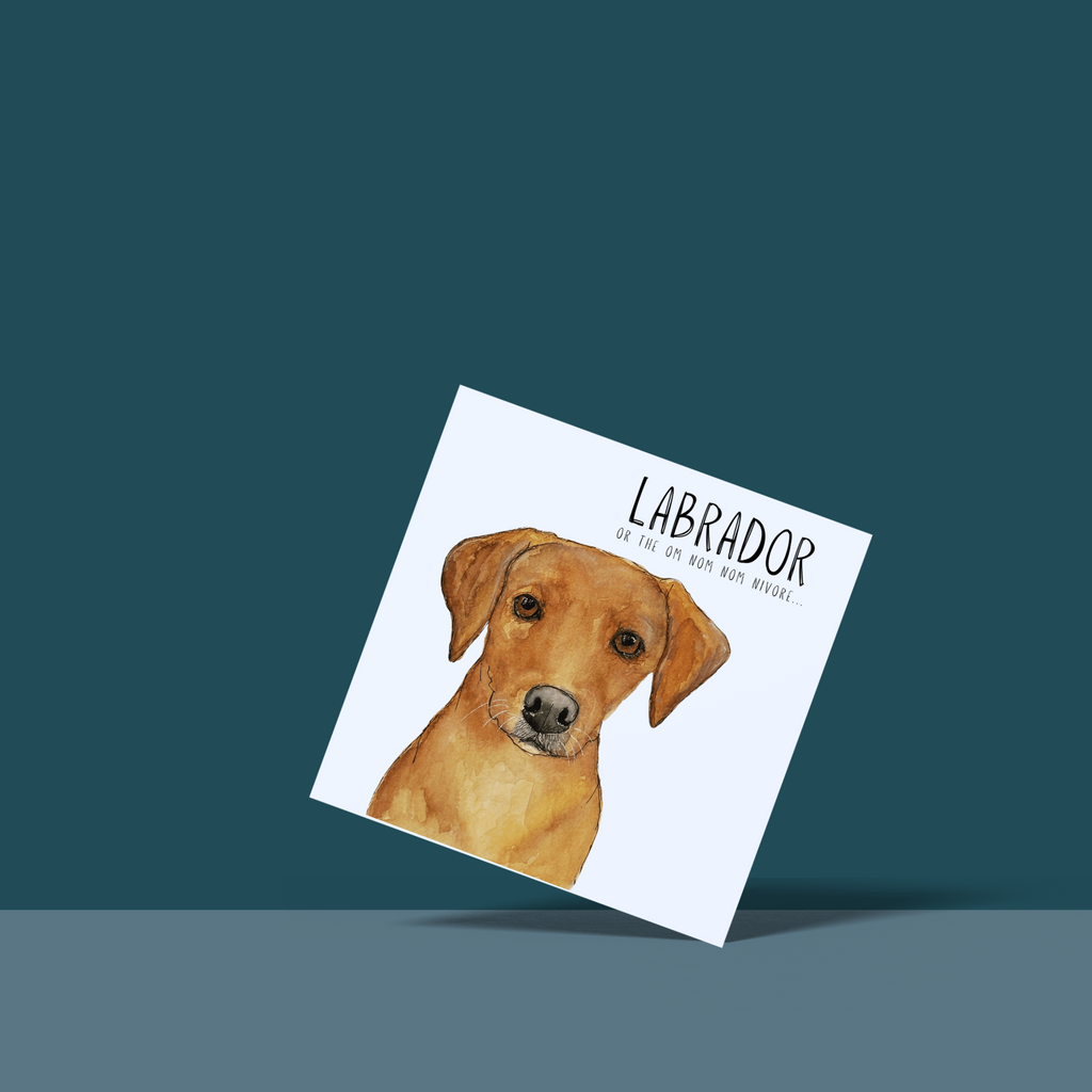 Labrador Greeting Card Om Nom Nomnivore