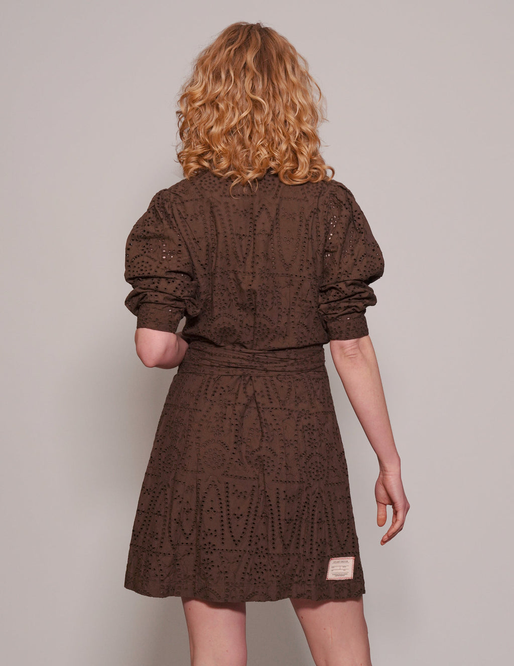 Embroidered Brown Long Dress