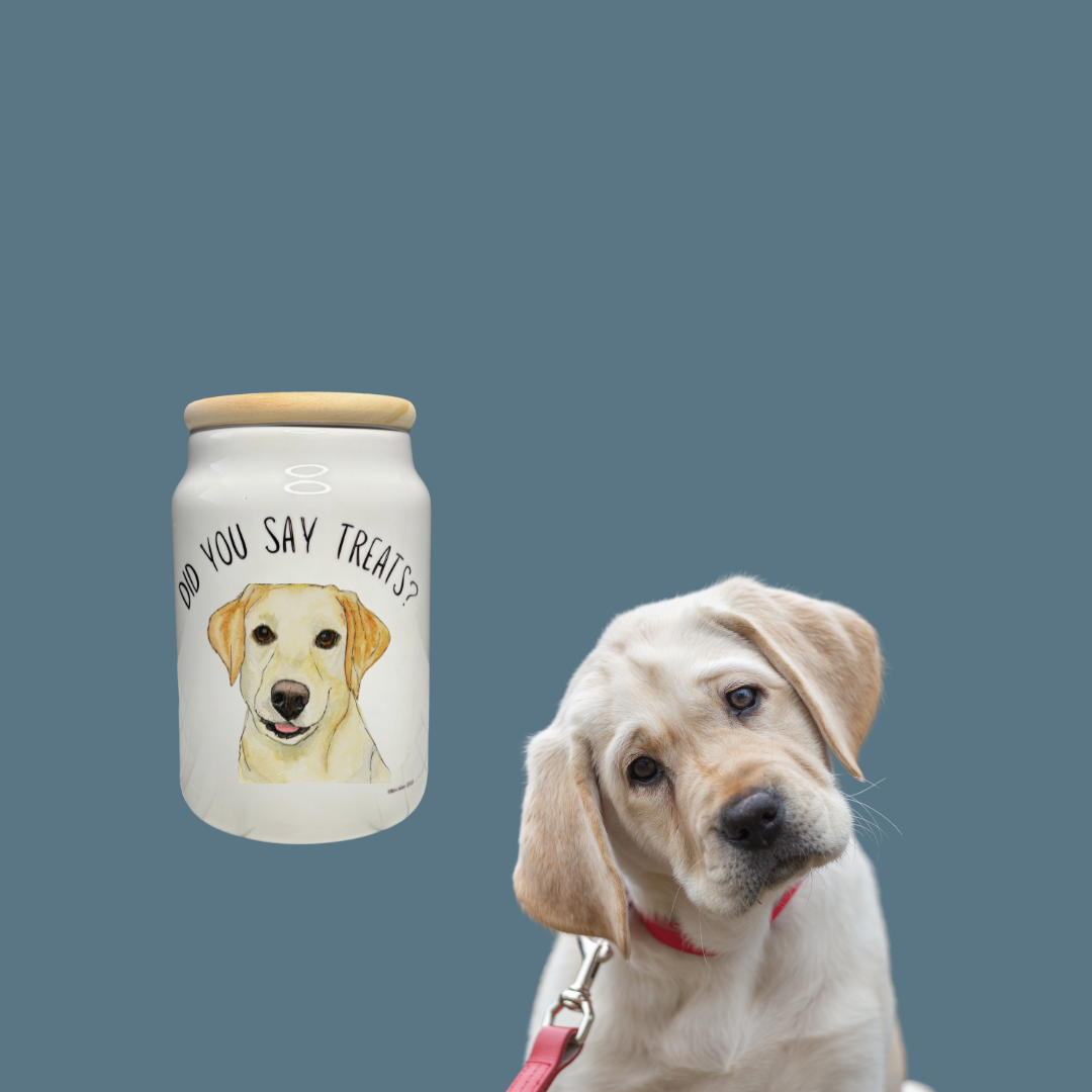 In Case of Emergency Break for Biscuits Ceramic Treat Jar