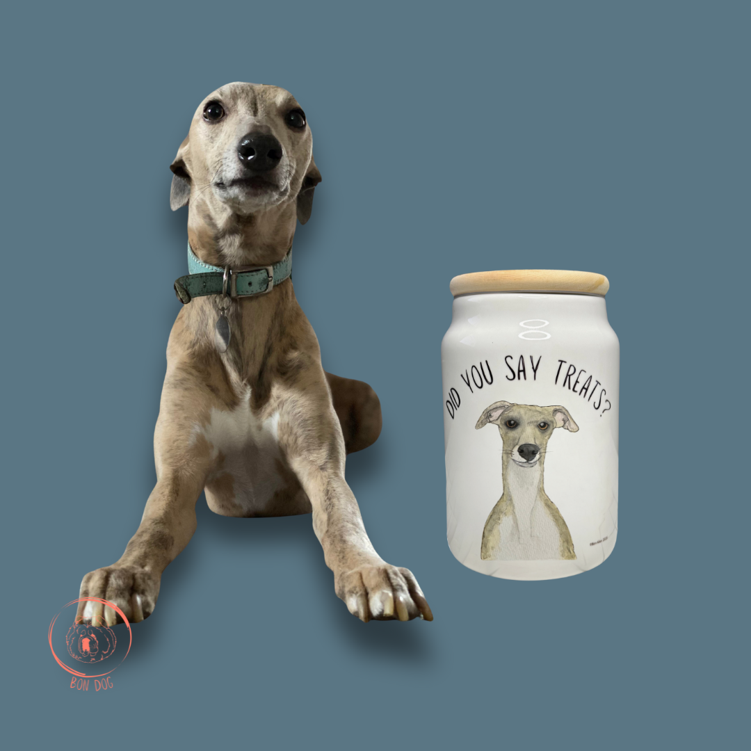 Ceramic Treat Jar with Wooden Lid for Dogs