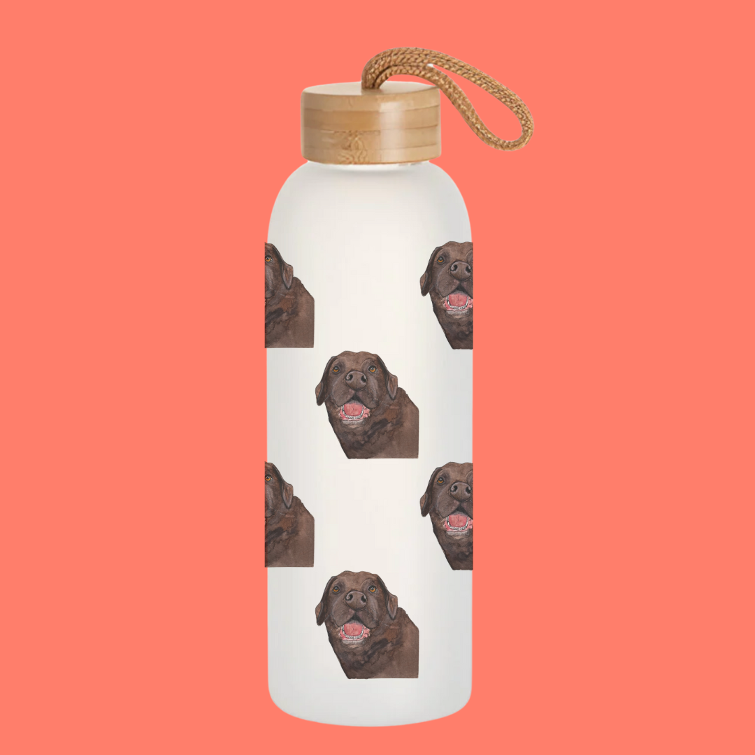 Stay Pawsitively Hydrated Glass Water Bottle