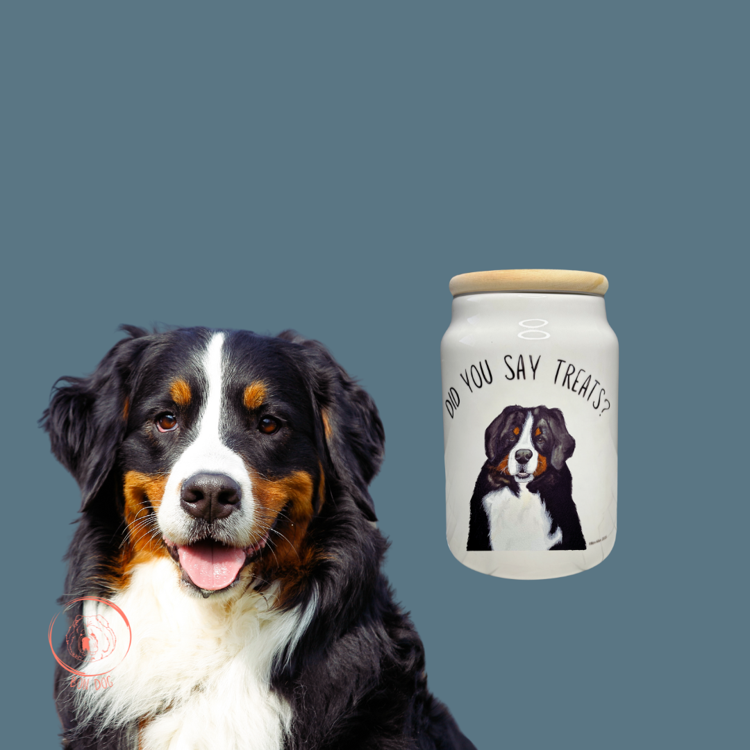 Ceramic Treat Jar for Dogs with Wooden Lid