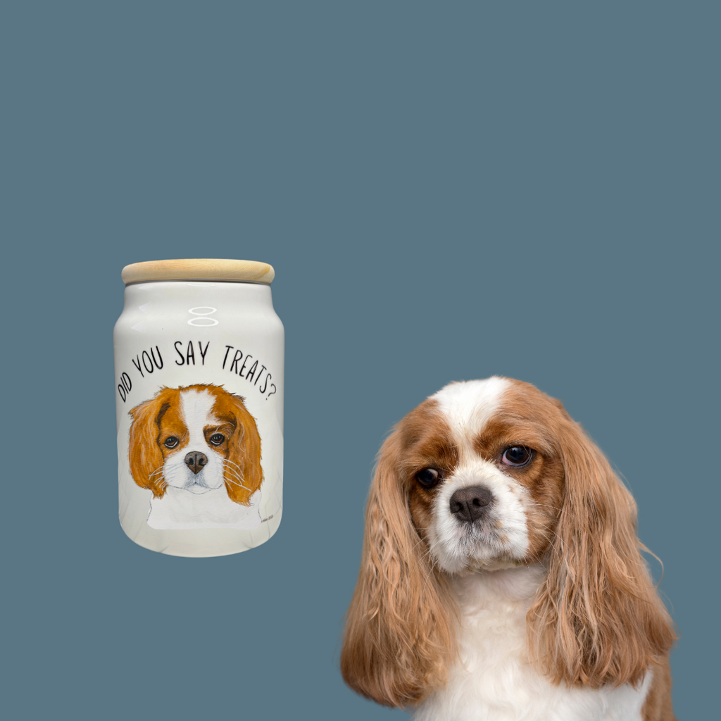 Royal Ceramic Treat Jar for Dogs