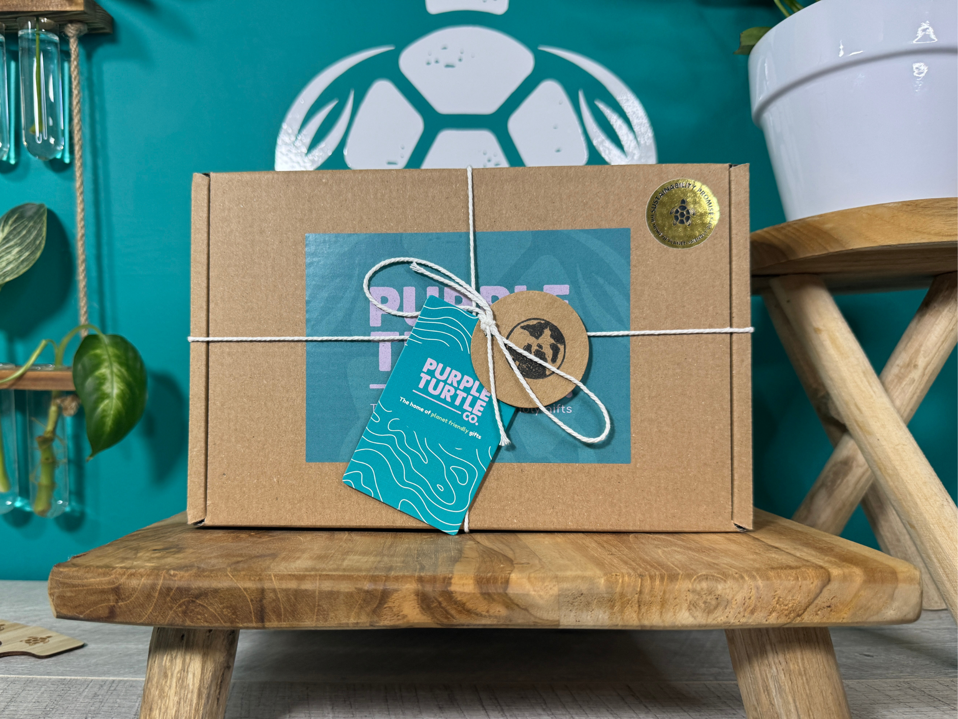 Plant Propagation Gift Set for Home Growers