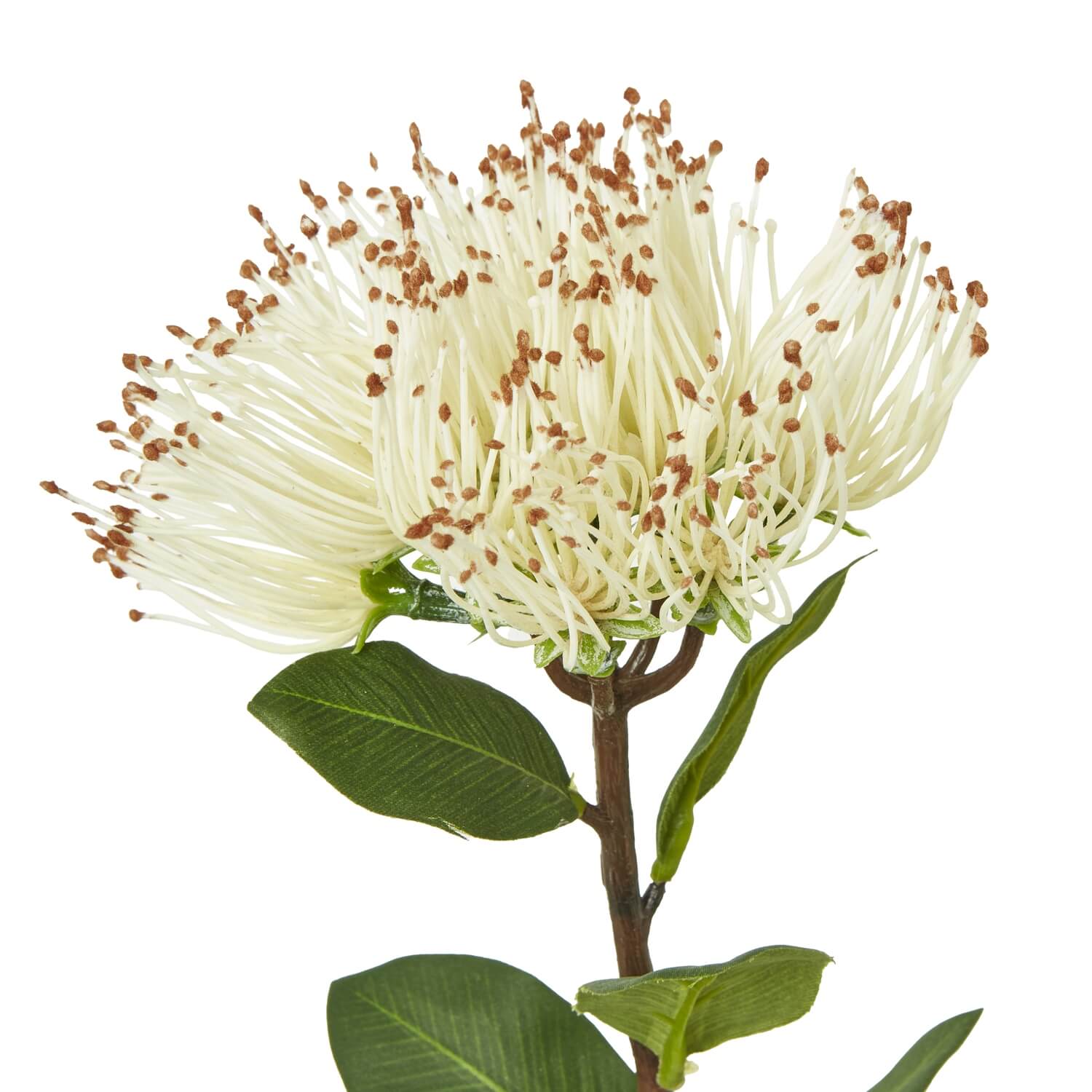 Creamy-white Protea Nitida artificial stem with lush green leaves, 45 cm tall, for elegant home decor by Sostter at brixbailey.com
