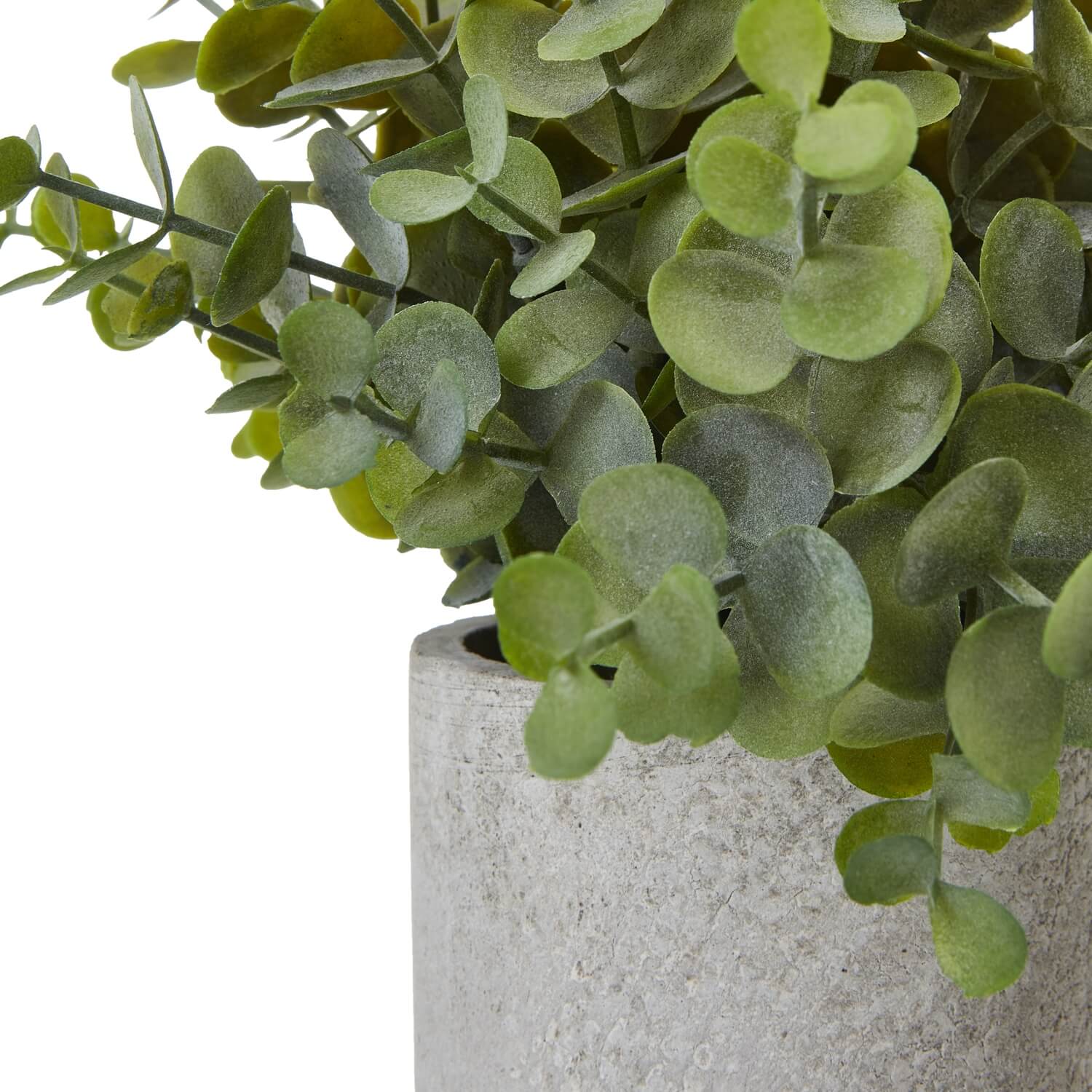 Small artificial button eucalyptus plant in grey pot with realistic sage green leaves, perfect for home decor by sostter at brixbailey.com
