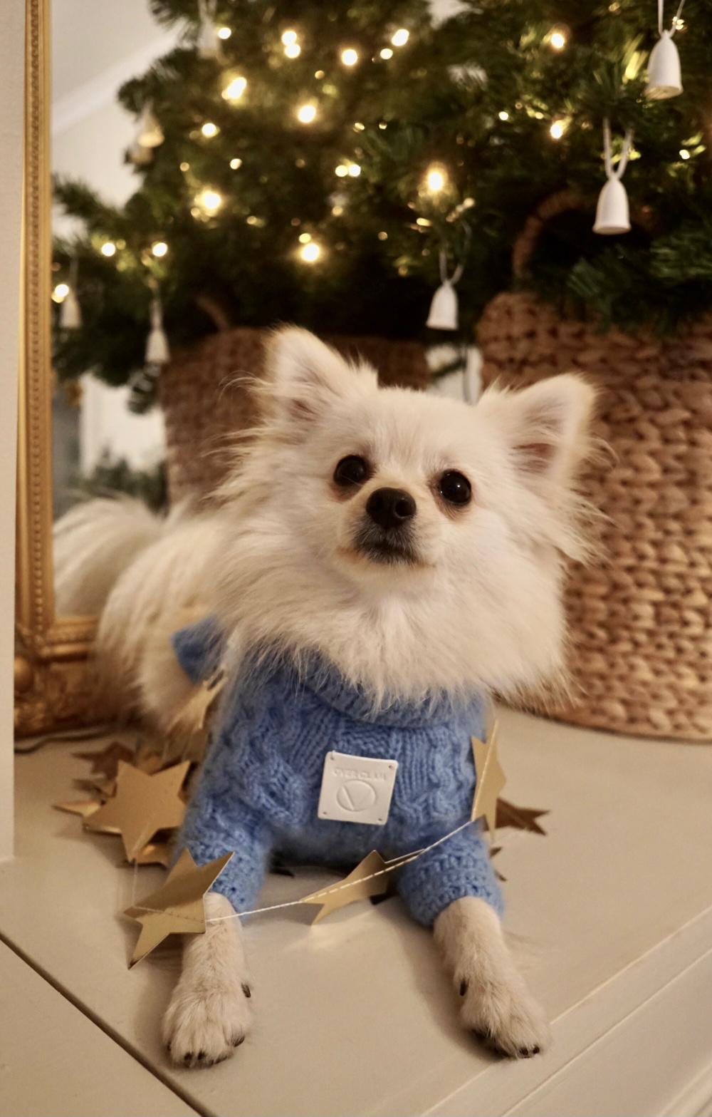 You Are Not Alone Cashmere Wool Knit Jumper