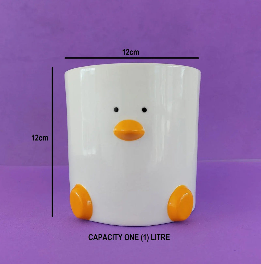 Duck Plant Pot 12cm with Drainage
