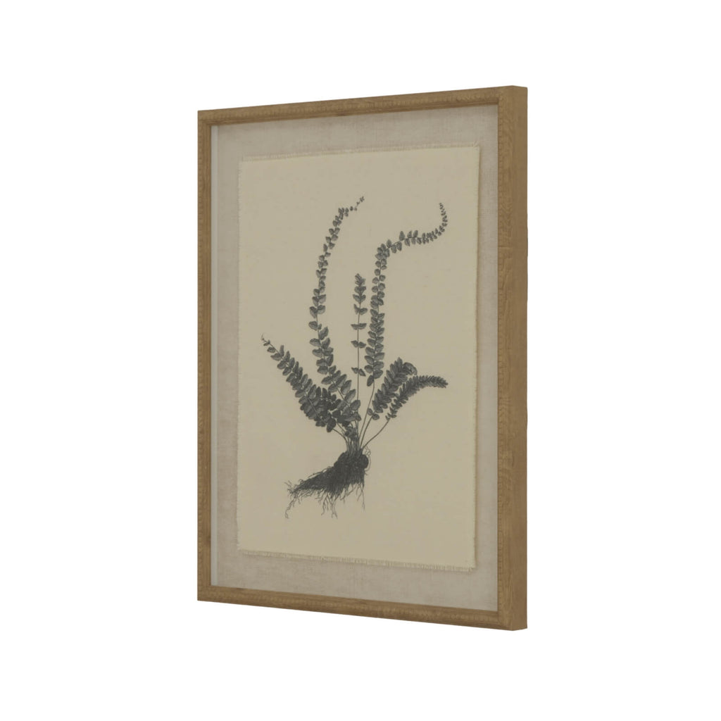 Exquisite spleenwort fern botanical print on linen with ornate beaded frame, neutral tones, 50x40cm by RoomLondon at brixbailey.com
