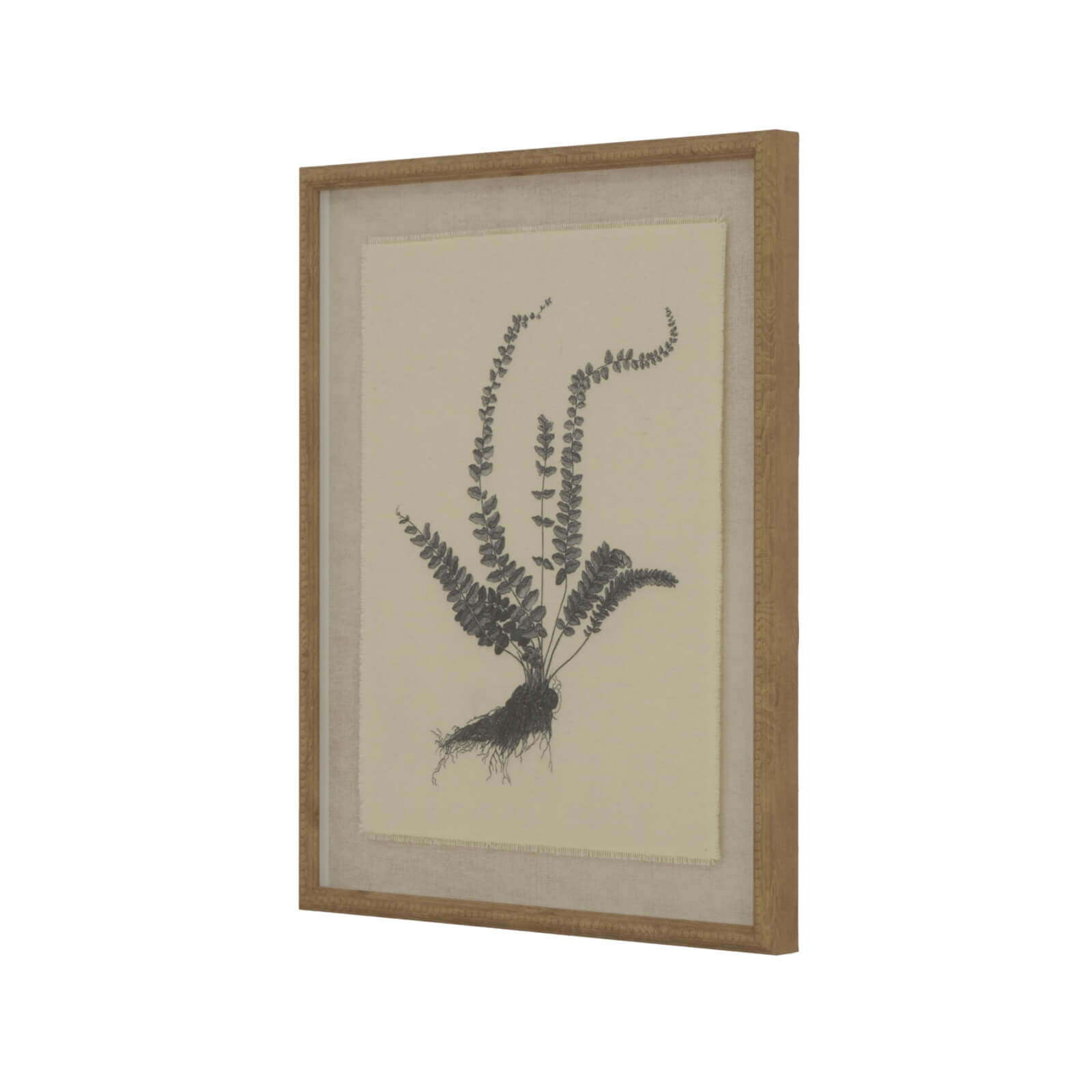 Exquisite spleenwort fern botanical print on linen with ornate beaded frame, neutral tones, 50x40cm by RoomLondon at brixbailey.com
