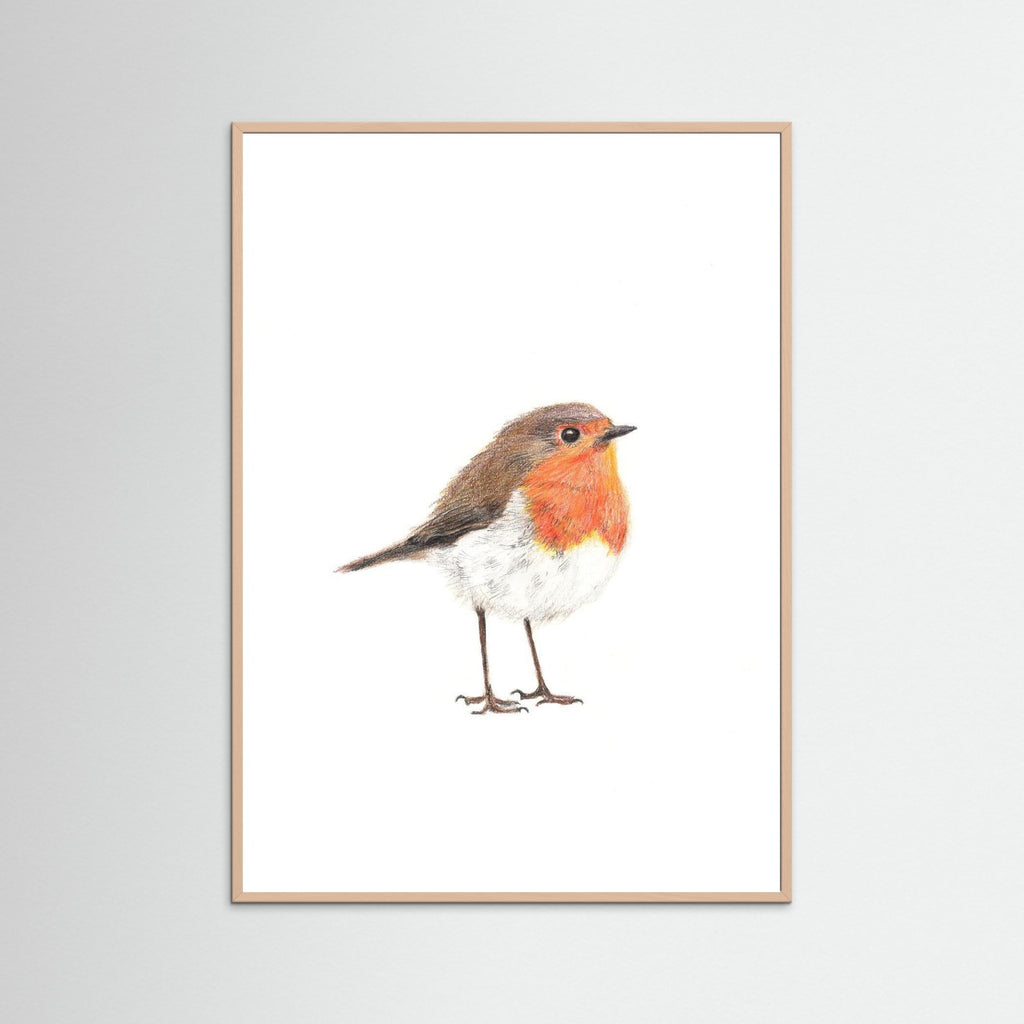 Robin Art Print Wildlife Wall Art for Nature Lovers
