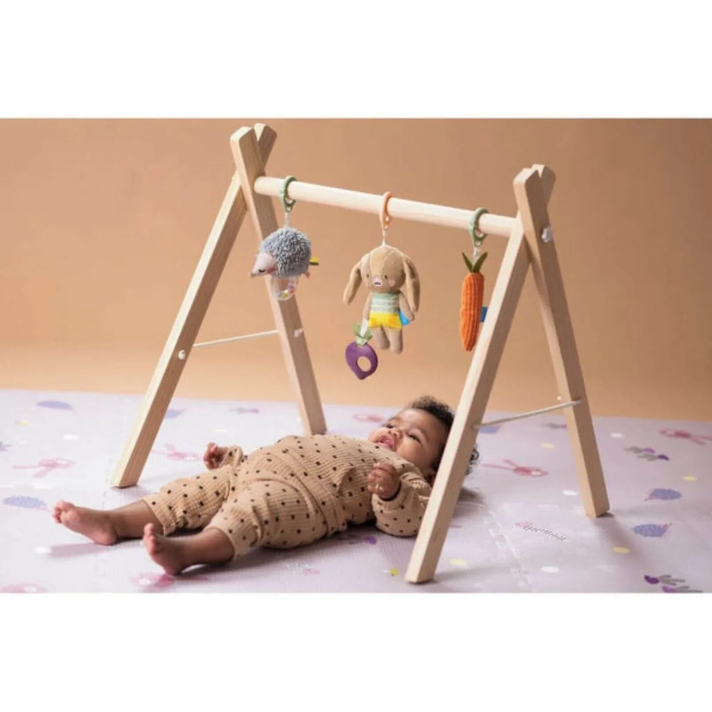 Activity Toys Kit for Babies