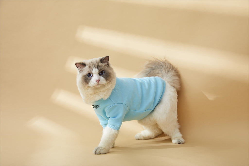 Colourful Wool Blend Sweatshirt with Slogan