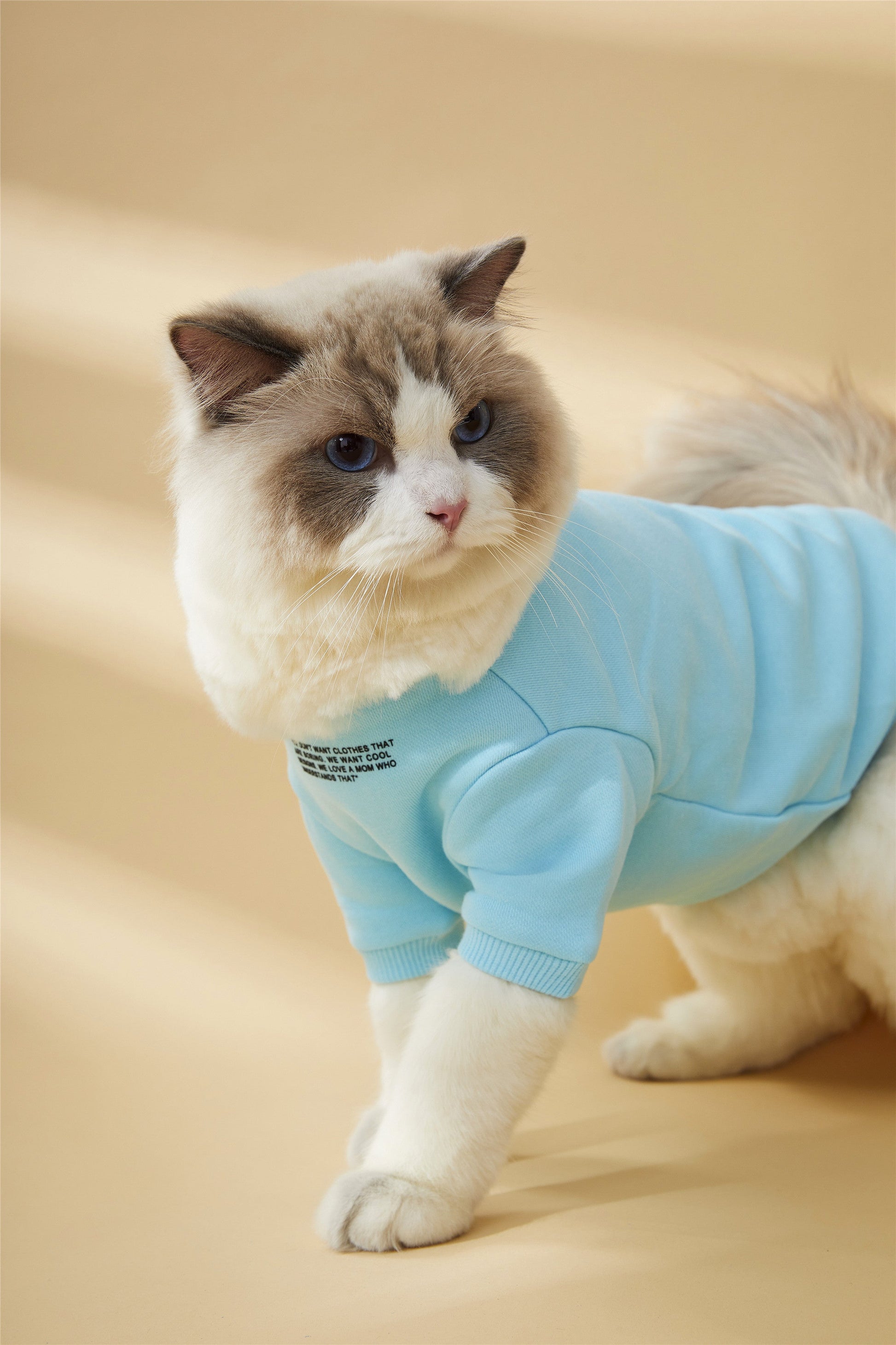 Colourful Wool Blend Sweatshirt with Slogan