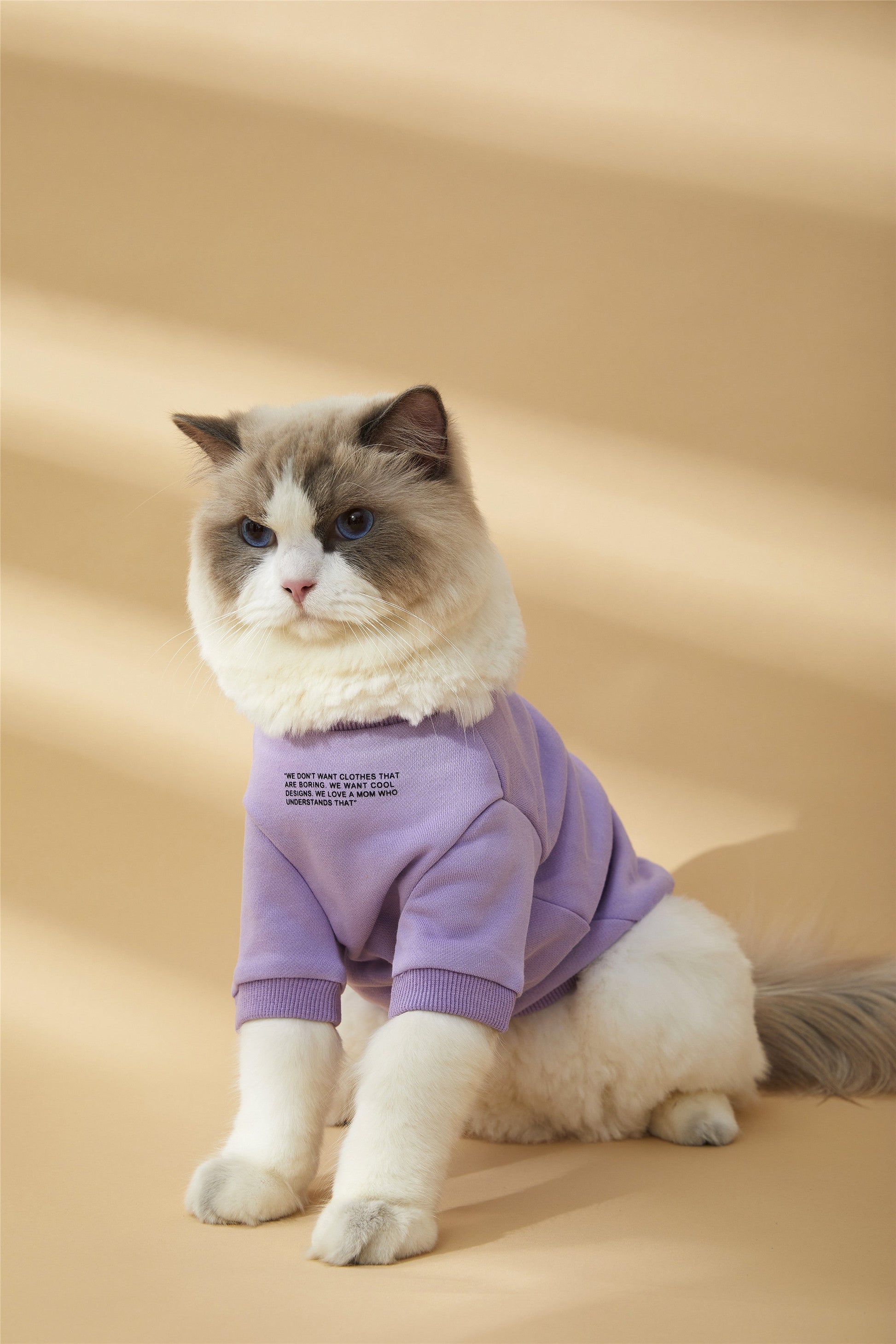 Colourful Wool Blend Sweatshirt with Slogan