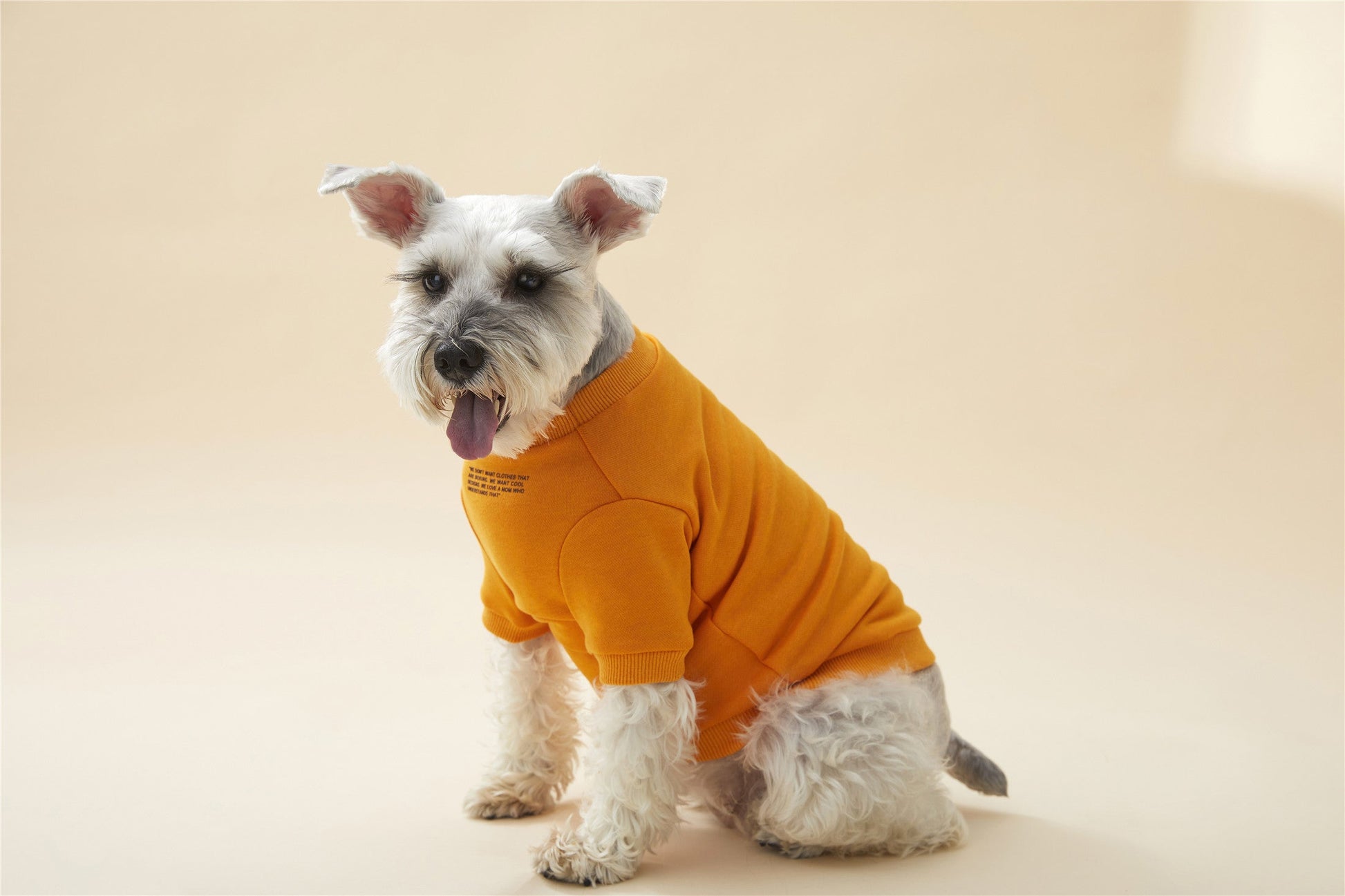 Colourful Wool Blend Sweatshirt with Slogan