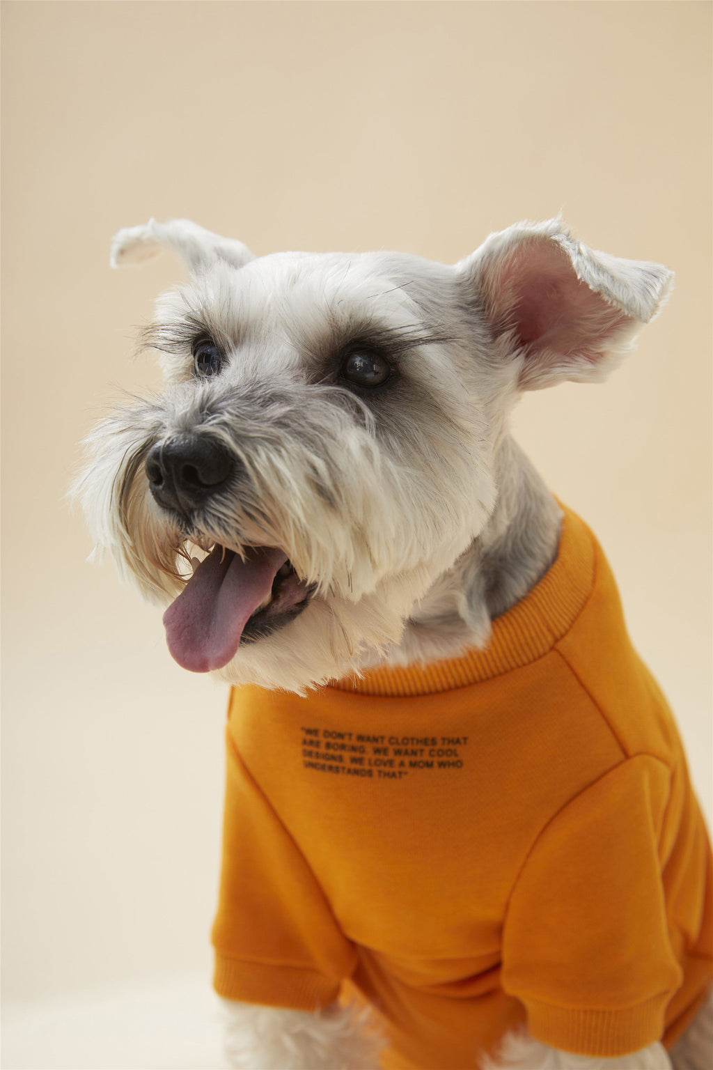 Colourful Wool Blend Sweatshirt with Slogan