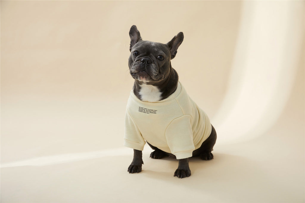 Colourful Wool Blend Sweatshirt with Slogan