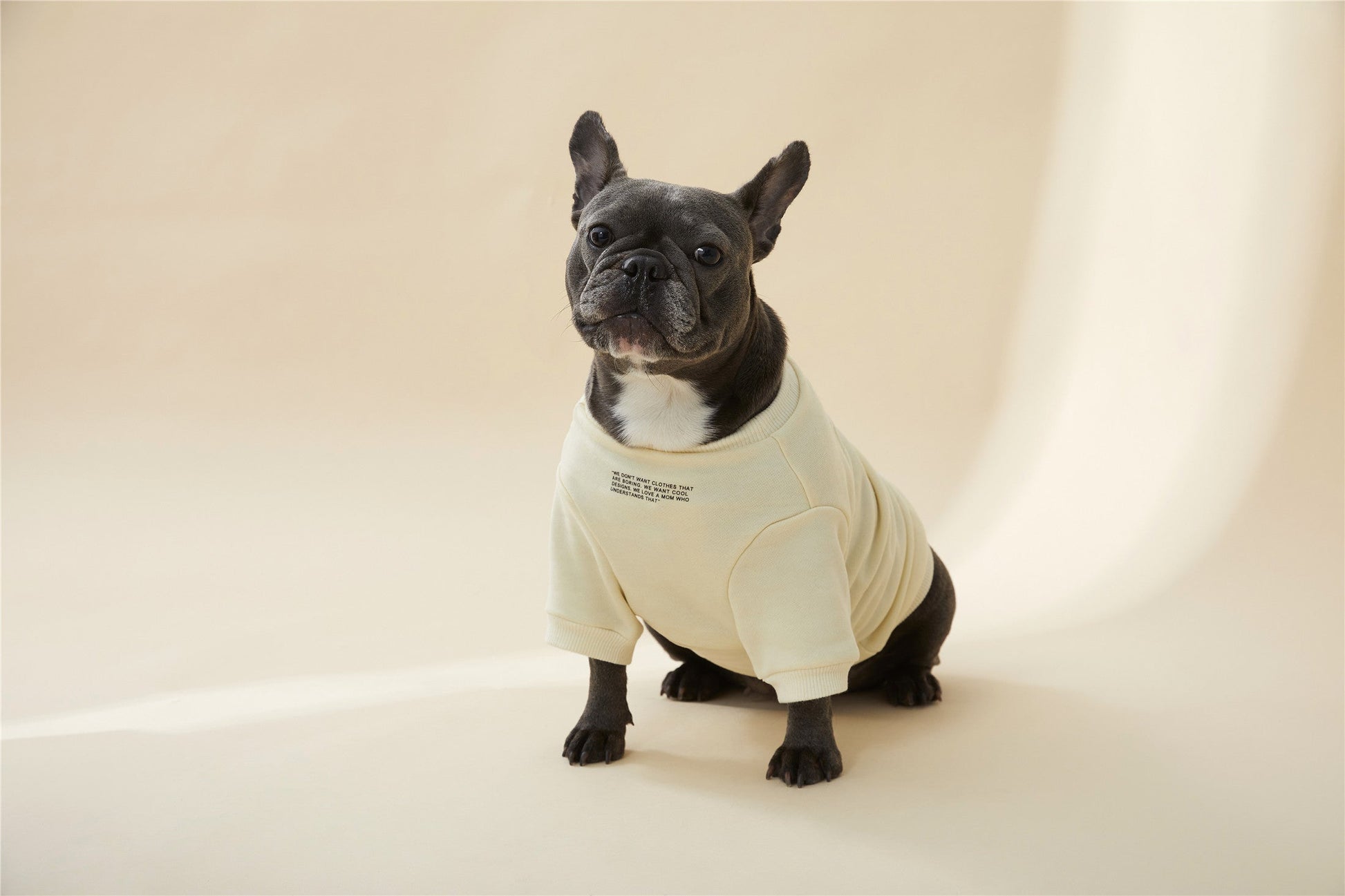 Colourful Wool Blend Sweatshirt with Slogan