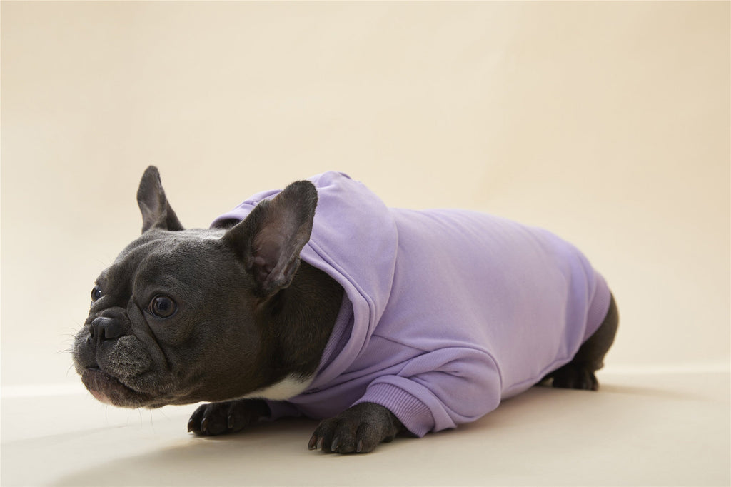 Hoodie with Slogan for Mom